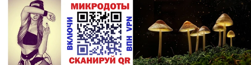 ОМГ ОМГ зеркало  наркотики  Среднеуральск  Галлюциногенные грибы прущие грибы 