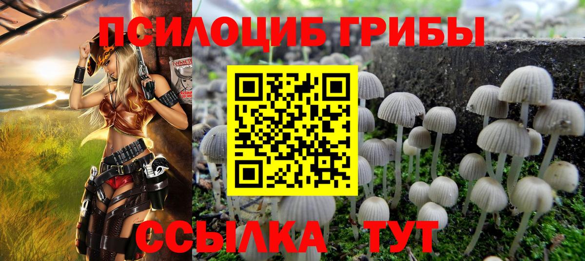 Галлюциногенные грибы мухоморы Среднеуральск